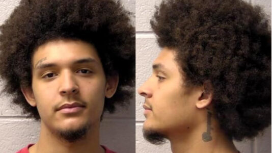 Woman speaks out after alleged homophobic attack at McDonald’s in Illinois