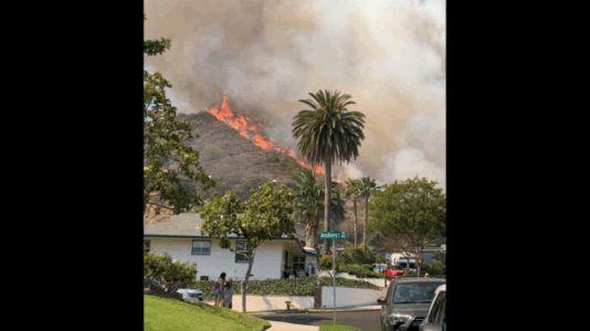 Evacuation orders lifted after brush fire contained in Los Angeles County