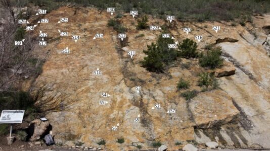 Large dinosaur mating ‘dance arena’ discovered in Colorado