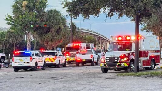 Woman attacked by alligator while swimming with dog, boyfriend: Sheriff