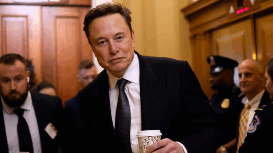 ‘It’s a cover up’: Musk floods X with posts attacking Trump over Epstein