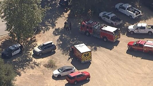 Tree limb fatally injures child at Southern California summer camp