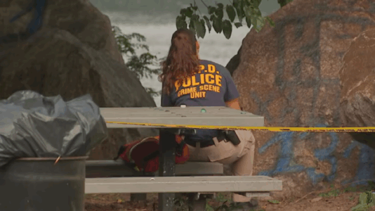 Off-duty Border Patrol agent shot in NYC park