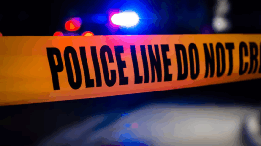 Missing California Girl Found Dead In Wayne County