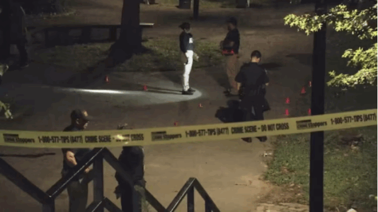 5 shot, 1 fatally, as multiple gunmen open fire in New York City park: NYPD