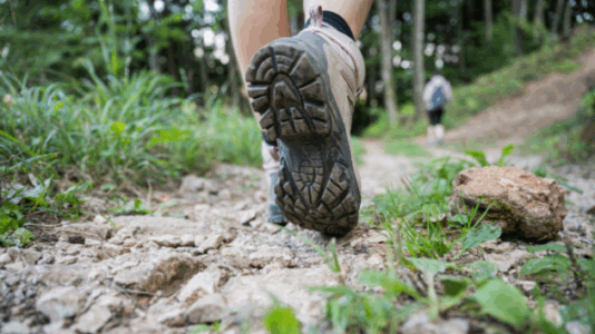 Amid string of missing hikers, how can you stay safe while on the trails? An expert weighs in