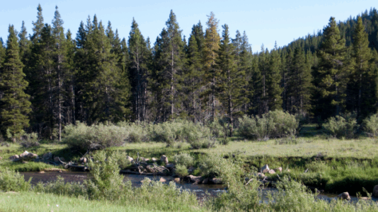 20-day search effort called off for man who went missing while hiking in Wyoming