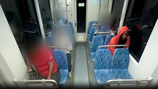 Ukrainian woman stabbed to death in unprovoked attack while riding train in North Carolina: Police