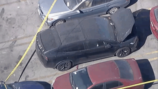 Decomposing body found in trunk of Tesla at Los Angeles impound lot: Police sources