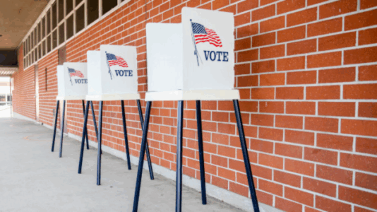 Woman posted picture of dog with ‘I voted’ sticker after registering pet to vote: DA