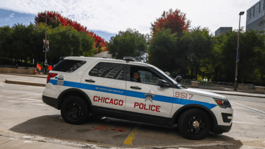 Woman set on fire on Chicago L train, person of interest in custody: Police