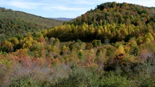 Missing West Virginia coal miner found dead after nearly week trapped underground: Governor