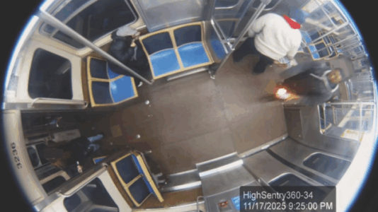 Man faces terrorism charge for allegedly setting woman on fire on Chicago L train: DOJ