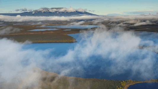 6.0 magnitude earthquake strikes northwest of Anchorage, Alaska: USGS