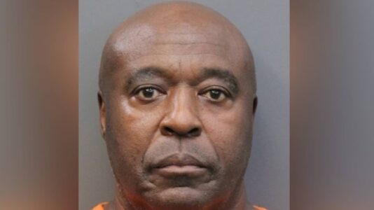 Man arrested in Florida in killing of woman in case once associated with Long Island serial murders: Sources