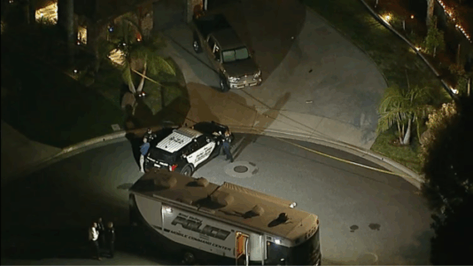 California radiologist, wife fatally shot in driveway by son, police say