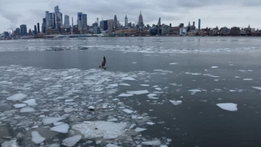 Snowstorm headed to Southeast: North Carolina, South Carolina, Georgia declare state of emergency