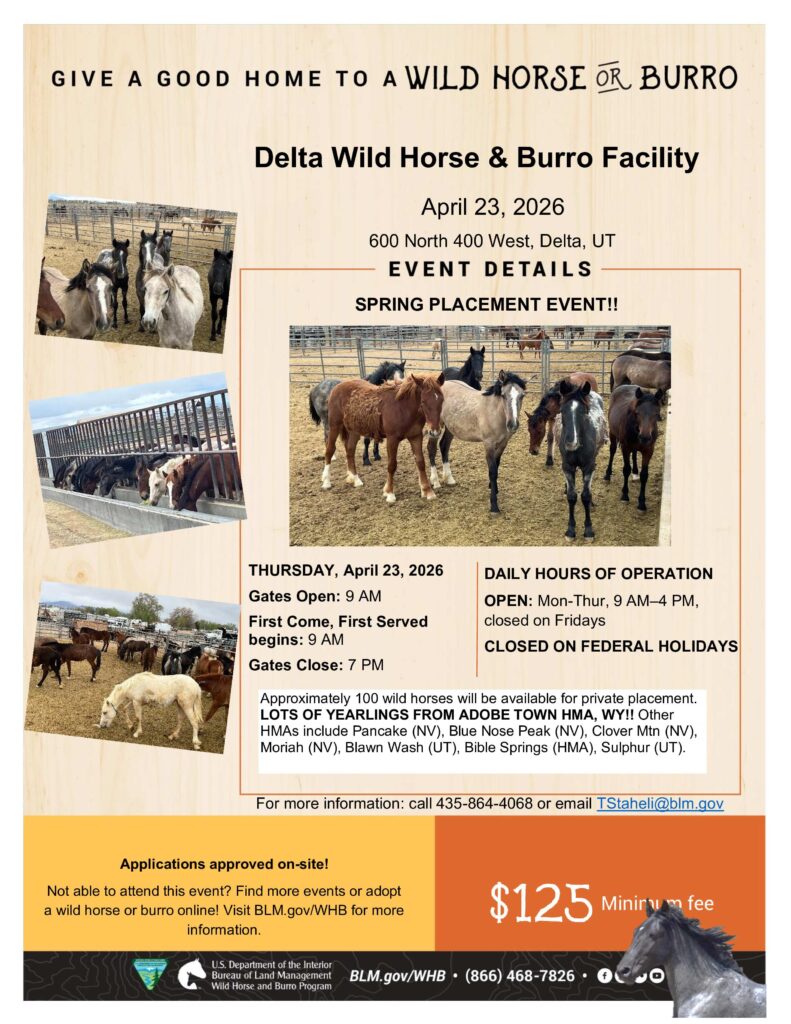 BLM Spring Placement Event