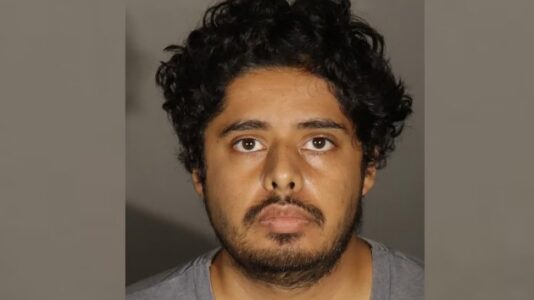 Mom stabbed to death in home, daughter stabbed and wounded; suspect in custody: Police