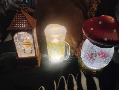Snow globes