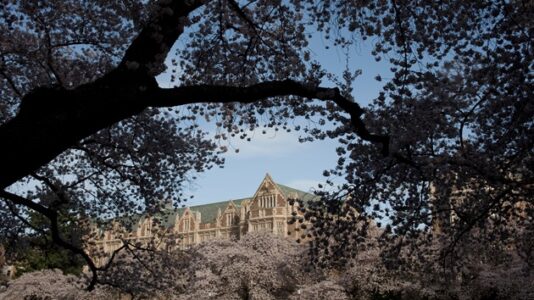 Man arrested in murder of transgender University of Washington student: Police