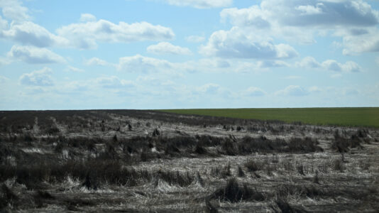 US agriculture industry at risk as drought conditions worsen