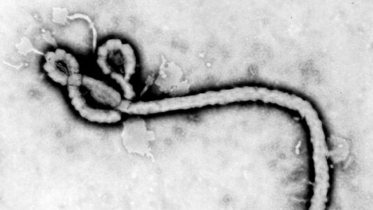 DHS announces Ebola outbreak flight arrival restrictions for DRC, Uganda, South Sudan